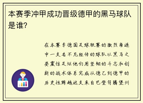 本赛季冲甲成功晋级德甲的黑马球队是谁？